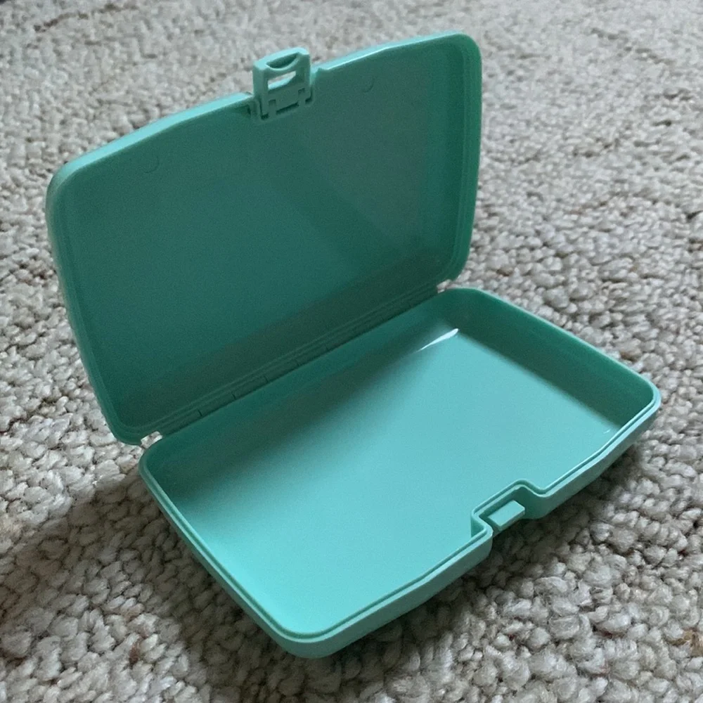 NWT 90’s Style Caboodles Case